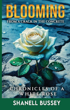 Blooming From A Crack In The Concrete: Chronicles Of A White Rose