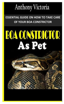 Boa Constrictor as Pet: Essential Guide on How to Take Care of Your Boa Constrictor