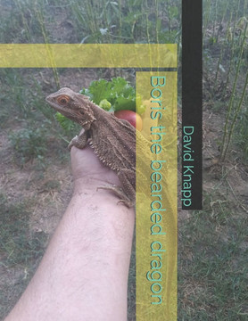 Boris the bearded dragon