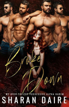 Broke Down: My Over the Top Possessive Alpha Harem