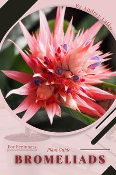 Bromeliads: Plant Guide