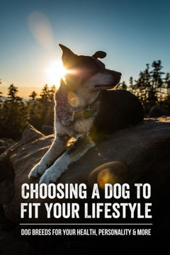 Choosing A Dog To Fit Your Lifestyle: Dog Breeds For Your Health, Personality & More: Dog Breeds For An Active Lifestyle Person