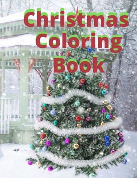 Christmas Coloring Book: 30 Different ilustrations for all ages, Kids boy or girl, teens, adult for paint and have lots of fun coloring this Be