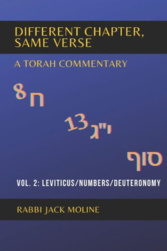 Different Chapter, Same Verse (Vol. 2): Leviticus/Numbers/Deuteronomy