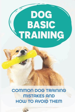 Dog Basic Training: Common Dog Training Mistakes And How to Avoid Them: Dog Training Consistency