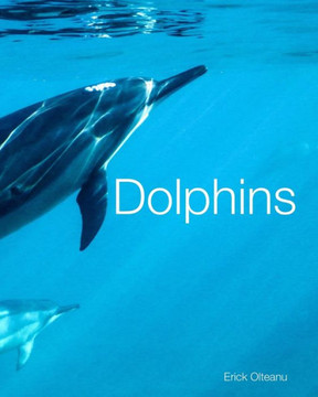 Dolphins: Facts and Photos About This Interesting and Unique Animal