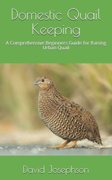 Domestic Quail Keeping: A Comprehensive Beginners Guide for Raising Urban Quail