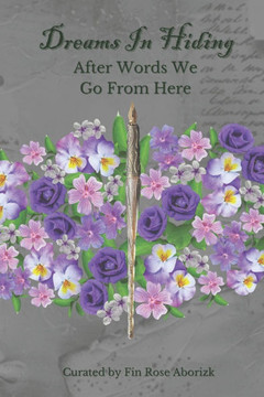 Dreams In Hiding: After words we go from here