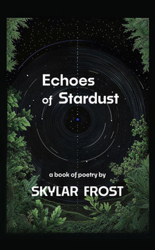 Echoes of Stardust