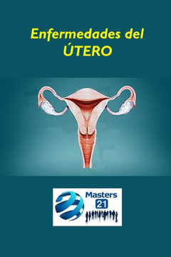 Enfermedades del útero