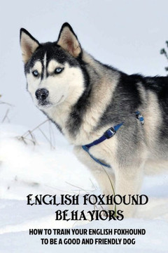 English Foxhound Behaviors: How To Train Your English Foxhound To Be A Good And Friendly Dog: How To Stop Your English Foxhound From Scratching Th