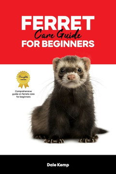 Ferret Care Guide for Beginners