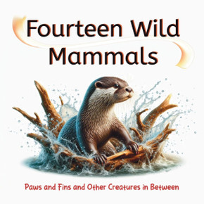 Fourteen Wild Mammals