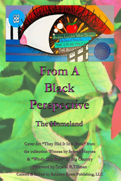 From a Black Perspective: The Homeland