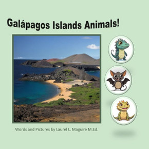Galapagos Islands Animals!