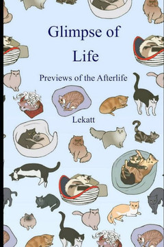 Glimpse of Life: Previews of the Afterlife