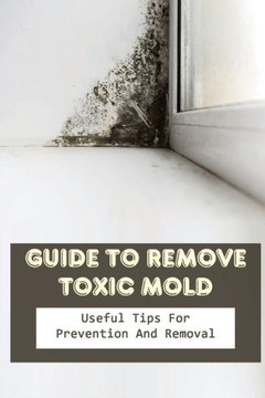 Guide to Remove Toxic Mold: Useful Tips For Prevention And Removal: Common Problems With Molds