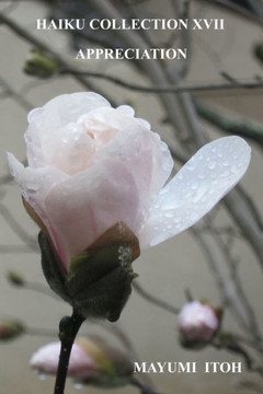 Haiku Collection XVII: Appreciation