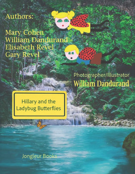 Hillary and the Ladybug Butterflies: Mixed Media