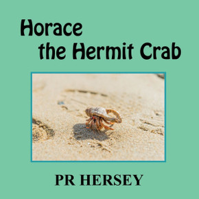 Horace the Hermit Crab