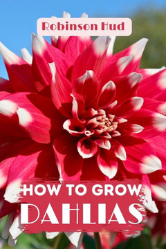 How to Grow Dahlias: Easy guide to planning, planting and growing