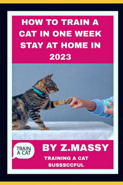 How to Train a Cat in One Week Stay at Home in 2023: Cat Training