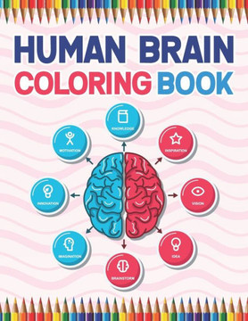 Human Brain Coloring Book: The Human Brain Coloring Book. Human Brain Model Anatomy, Human Brain Diagram, Human Brain Art, Human Brain and Human Human Brain Coloring Book: The Human Brain Coloring Book. Human Brain Model Anatomy, Human Brain Diagram, Human Brain Art, Human Brain and Human