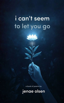 i can't seem to let you go: A Journey of Love and Self-Discovery