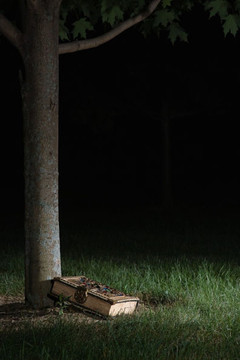 I Never Desired to Become an Author: How I wrote One Hundred Novels