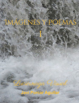 Imágenes y poemas I: Luciérnaga Visual