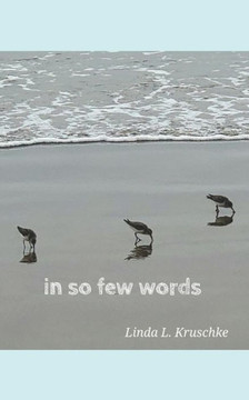 in so few words: A Collection of Short Form Poetry