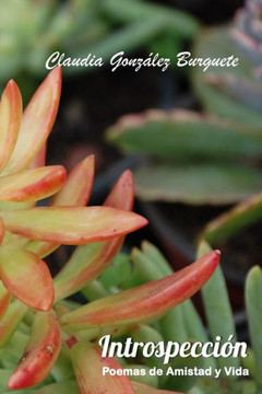 Introspección: Poemas de Amistad y Vida - Edición Fotográfica Introspección: Poemas de Amistad y Vida - Edición Fotográfica