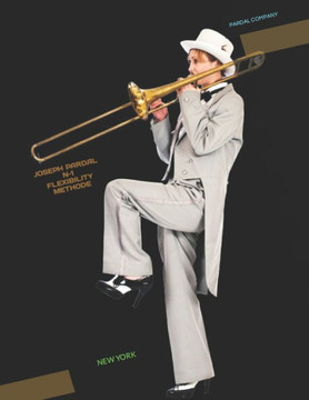 Joseph Pardal N-1 Flexibility Methode: New York