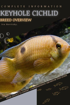 Keyhole Cichlid: From Novice to Expert. Comprehensive Aquarium Fish Guide