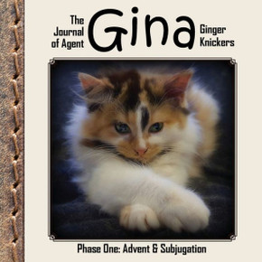 The Journal Of Agent Gina Ginger Knickers, Phase One: Advent & Subjugation