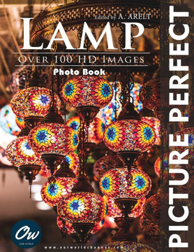 Lamp: Picture Perfect Photo Book