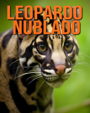 Leopardo nublado: La guía esencial de este increíble animal con fotos increíbles