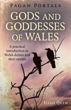 Pagan Portals - Gods And Goddesses Of Wales : A Practical Introduction To Welsh Deities And Their Stories