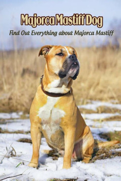 Majorca Mastiff Dog: Find Out Everything about Majorca Mastiff: Majorca Mastiff Dog Information and Dog Breed Facts