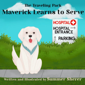 Maverick Learns to Serve