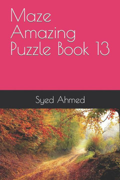 Maze Amazing Puzzle Book 13