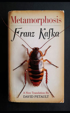 Metamorphosis: A New Translation in Modern Accessible English