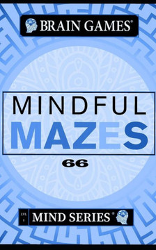 Mindful Mazes: Mind Series LVL 1