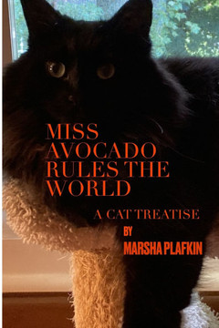 Miss Avocado Rules The World: A Cat Treatise