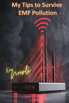 My Tips to Survive EMF Pollution