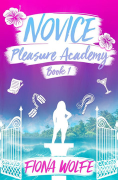 Novice: A Steamy Contemporary Rom Com