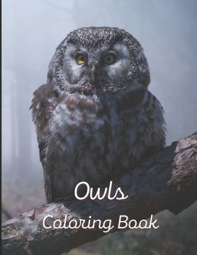 Owl Coloring Book: A painting fun for children and adults. Book Cover 3