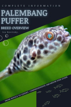 Palembang Puffer: From Novice to Expert. Comprehensive Aquarium Fish Guide