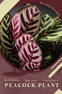 Peacock Plant: Prodigy Petal, Plant Guide