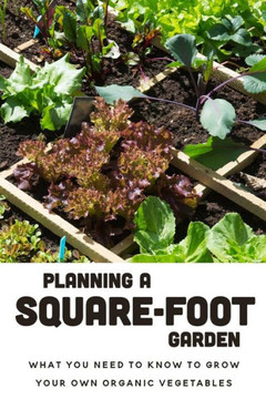 Planning A Square-Foot Garden: What You Need To Know To Grow Your Own Organic Vegetables: Square Foot Garden Layout